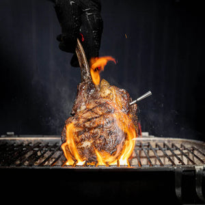 Meater PRO / 2 Plus Smart Wireless Meat Thermometer
